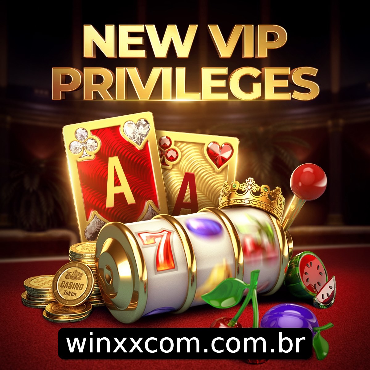 Programa VIP winxx